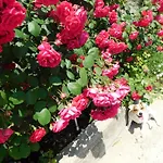 Appartement Jacky *